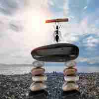 新﻿人‍学‍会‍seo